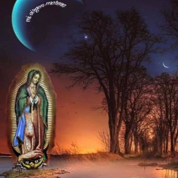 Meet your Posher, Lorena - Picture 1 of 1